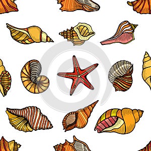 Seamless pattern shells