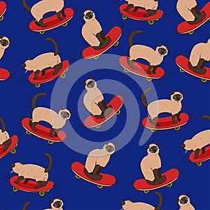 Seamless pattern with siamese cats on skateboards. Vector graphics