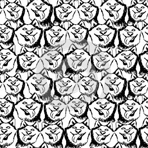 Seamless pattern with siberian huskies isolated on white background. Vintage hand drawn texture with portrait dogs.