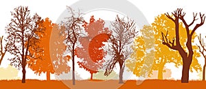 Seamless pattern of silhouette of autumn park different trees, vector illustration