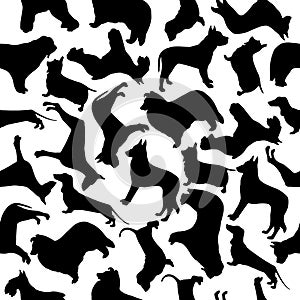 Seamless pattern of silhouettes dogs different breeds