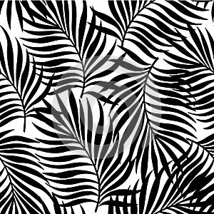 Seamless pattern with silhouettes of palm tree leaves in black on white background.