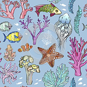 Seamless pattern with sketch of deepwater living organisms, fish and algae