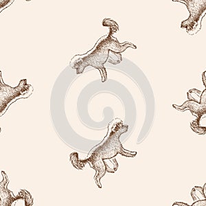 Seamless pattern from sketches of cute brown running poodle