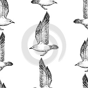 Seamless pattern of sketches of flying sea gulls