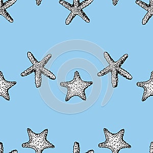 Seamless pattern of sketches starfishes