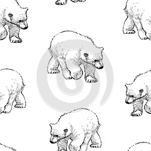 Seamless pattern of sketches of walking polar bear