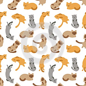 Seamless pattern sleeping cats of different breeds vector illustration