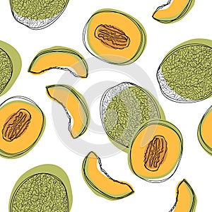 Seamless pattern with sliced japanese melons, orange melon or cantaloupe melon isolated on white background.