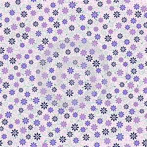 Seamless pattern with small gentle daisy flowers in pink, blue