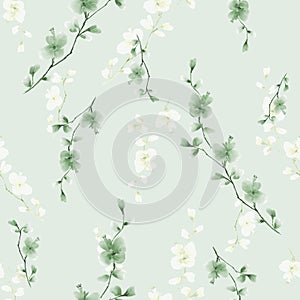 Seamless pattern small wild branch with green and white flowers on a light green background. Watercolor