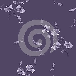 Seamless pattern small wild vilolet flowers on a deep violet background. Watercolor. -1