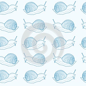 Seamless pattern with snails, vector