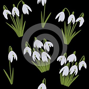 Seamless pattern snowdrops vector spring flowers illustration