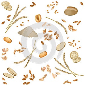 Seamless pattern with spelt foodstuff