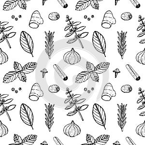 Seamless pattern spices vector illustration, hand drawing sketch