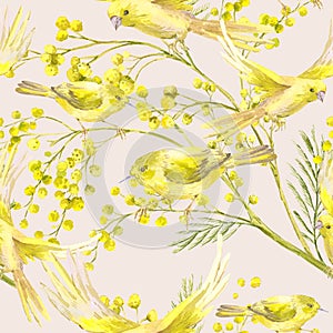 Seamless Pattern with Sprig of Mimosa, Yellow Bird