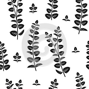 Seamless pattern. Sprigs of mint isolated on white background.