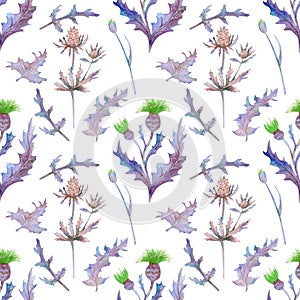 Seamless pattern with spring flowers and leaves. Wildflowers on isolated white background. Floral pattern for Wallpaper or fabric