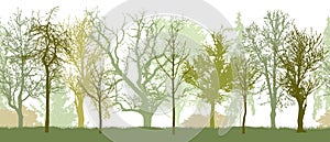 Seamless pattern of spring park or garden, or forest silhouette. Bare trees silhouette. Vector illustration