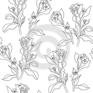 Seamless pattern of spring and summer flowers. Hand drawn wildflowers. Line art. The theme of ecology and conservation. For paper