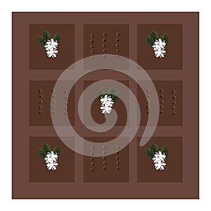 Seamless pattern of squares with coffee beans, white flowers and green leaves.