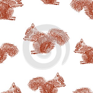 Seamless pattern of squirrels sketches