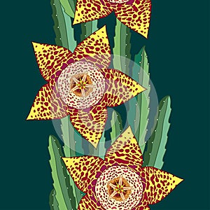 Seamless pattern with Stapelia flowers and stems. Genus of low-growing stem succulent plants. Series of different succulents