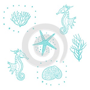 Seamless Pattern With Starfish, Seashells And Sea Horse. Decorative Sea Seamless Pattern Vector.