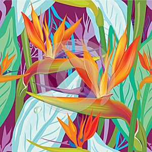 Seamless pattern with Strelitzia photo