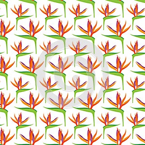 Seamless pattern with Strelitzia reginae flowers, for textiles, packaging, backgrounds and textures