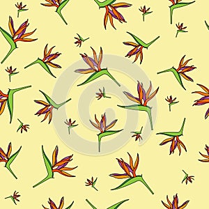 Seamless pattern with Strelitzia reginae flowers, for textiles, packaging, backgrounds and textures