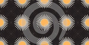 Seamless Pattern with Stylized Daisy Fowers and White Lines on Black Background