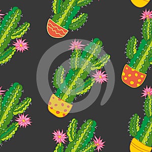 Seamless pattern of succulent and cactus. vector botanical illustration