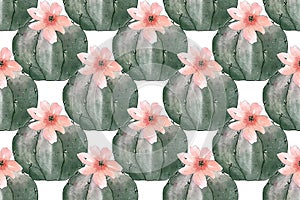 Seamless pattern with succulents and cacti flowers. Watercolor hand drawing illustration.