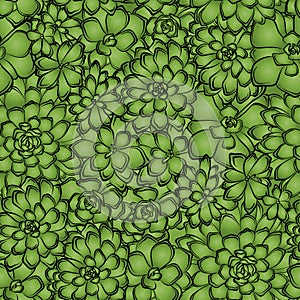 Seamless pattern with succulents flowers drawings