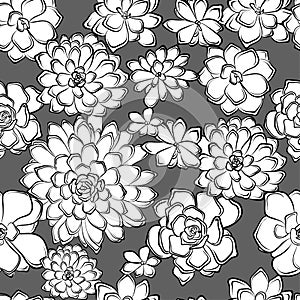 Seamless pattern with succulents flowers drawings