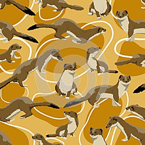 Seamless pattern. Summer-colored brown ermines. Males, females and young of Mustela erminea