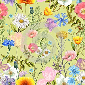 Seamless pattern of summer wildflowers