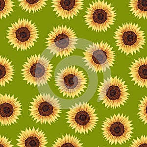 Seamless pattern with sunflowers. Vivid yellow flowers on green background. Floral botanical design for print, fabric