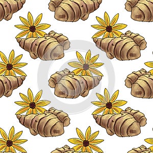 seamless pattern with sunroot at white background