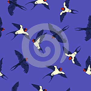 Seamless pattern with swallows on a blue background. Vector graphics