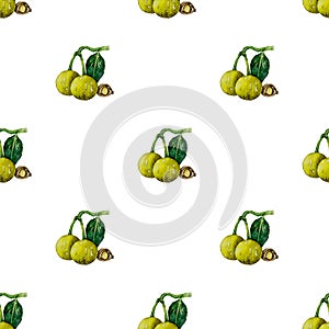 Seamless pattern with tamanu nut in watercolor photo