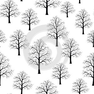 Seamless pattern texture background with winter trees branches. Black and White