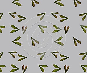 A seamless pattern texture of green seeds of arh