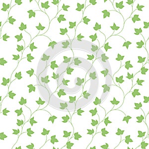 Seamless pattern. Thin green delicate twigs with leaves isolated on white background.