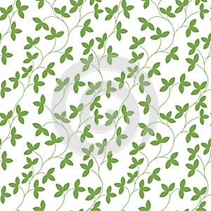 Seamless pattern. Thin green delicate twigs with leaves isolated on white background.