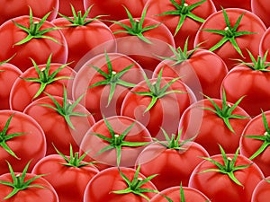 Seamless pattern with tomatoes