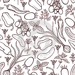 Seamless pattern with tomatoes peppers onions cucumbers basil dill thyme. Background with vegetables and spicy herbs. Hand drawn.