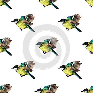 Seamless pattern with tomtits